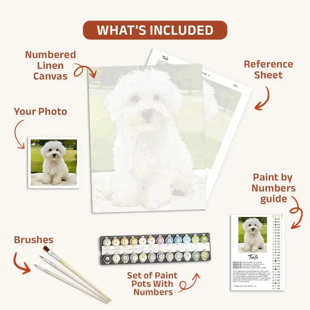Custom Paint by Numbers Kits