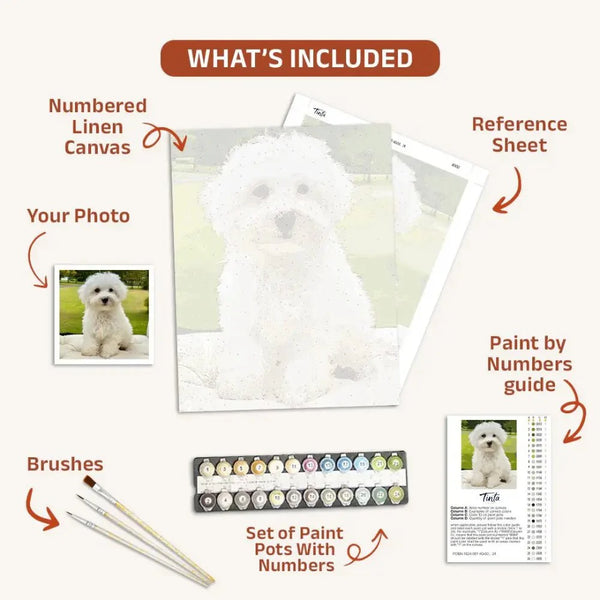 Custom Paint By  Numbers Kits
