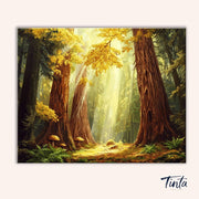 Sunlit Forest Path paint by numbers kit
