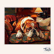 Cozy Bulldog Rest paint by numbers kit