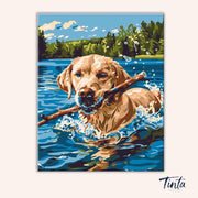 Water Fetch paint by numbers kit
