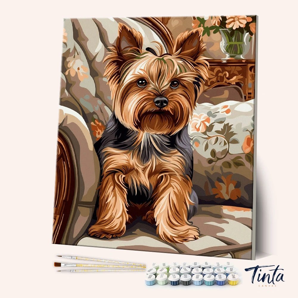 Seated Yorkie paint by numbers kit
