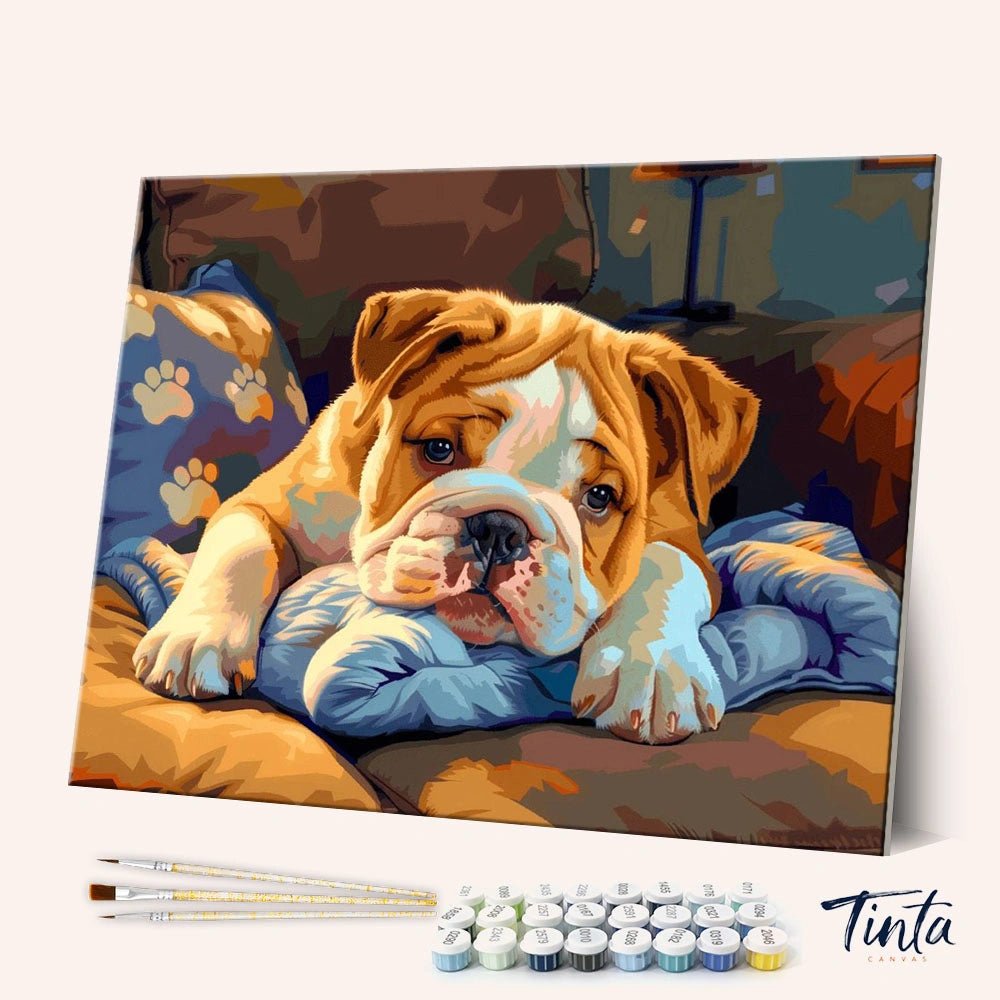 Sleepy Bulldog paint by numbers kit