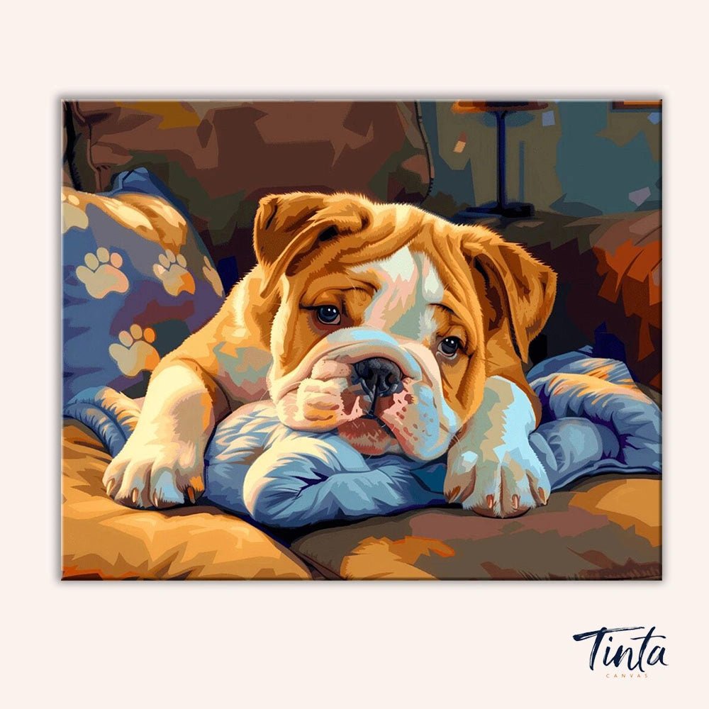 Sleepy Bulldog paint by numbers kit