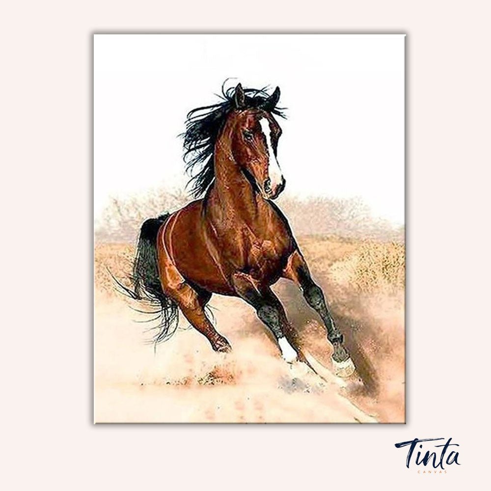 Untamed Spirit paint by numbers kit
