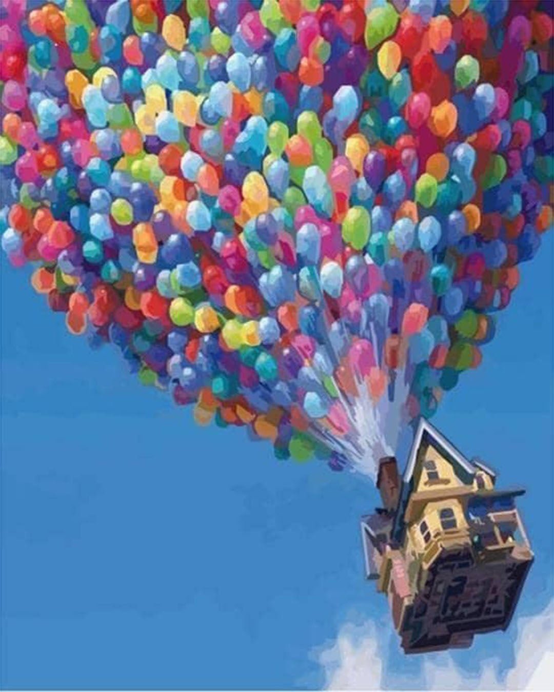 Up House paint by numbers kit