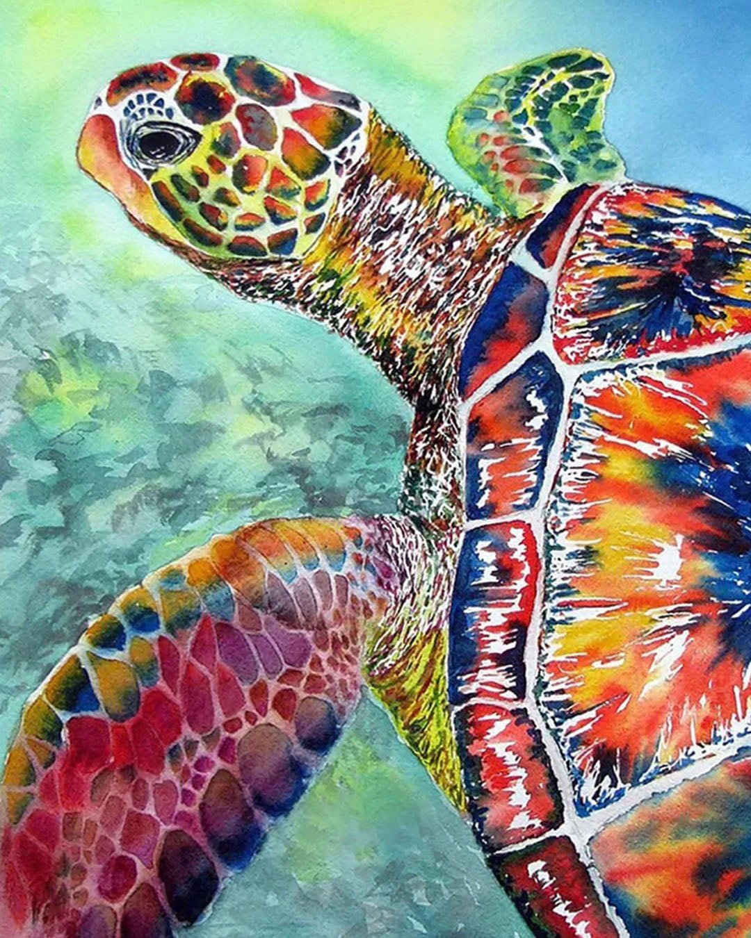 Myrtle the Turtle paint by numbers kit