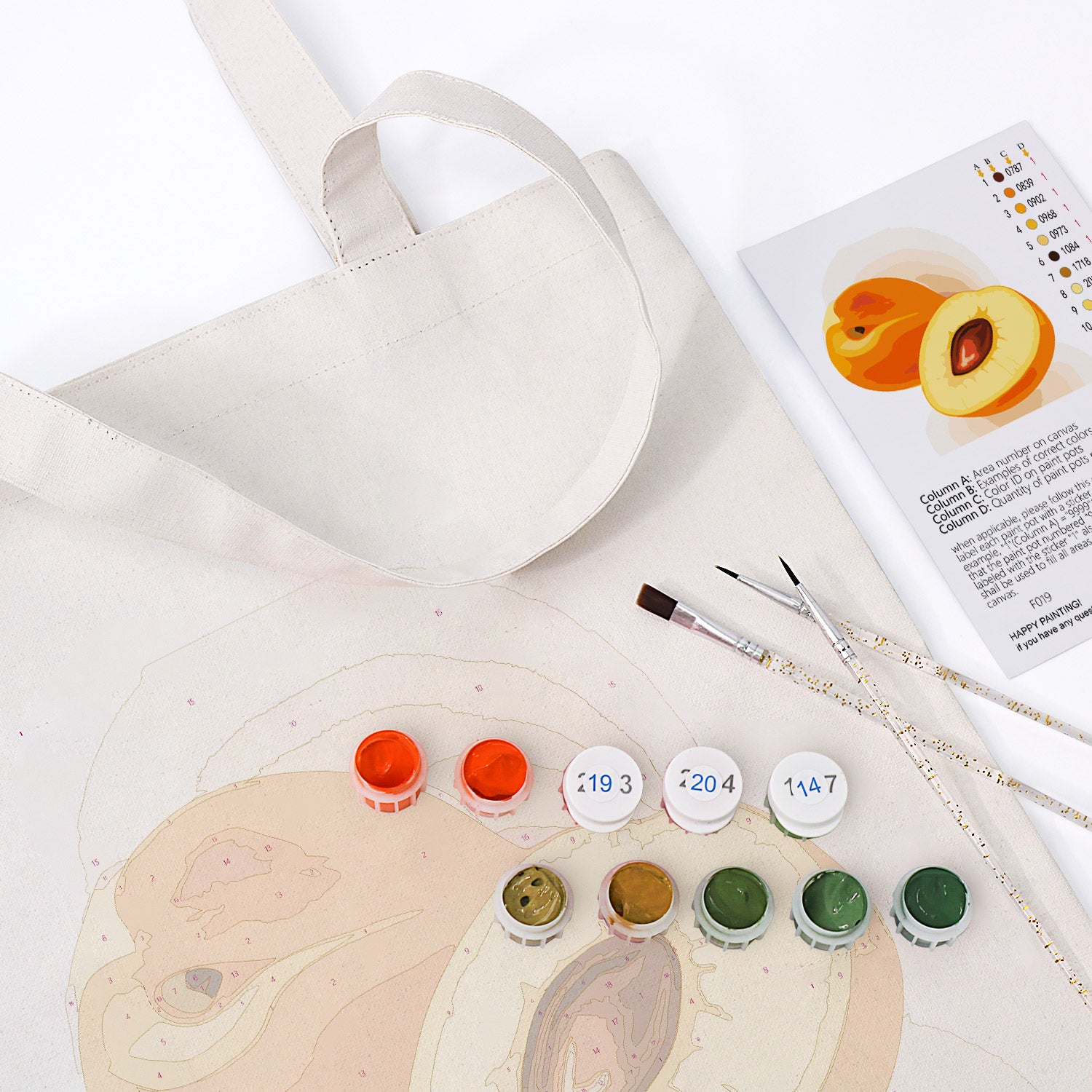 Apricot Glow Carry Bag paint by numbers kit