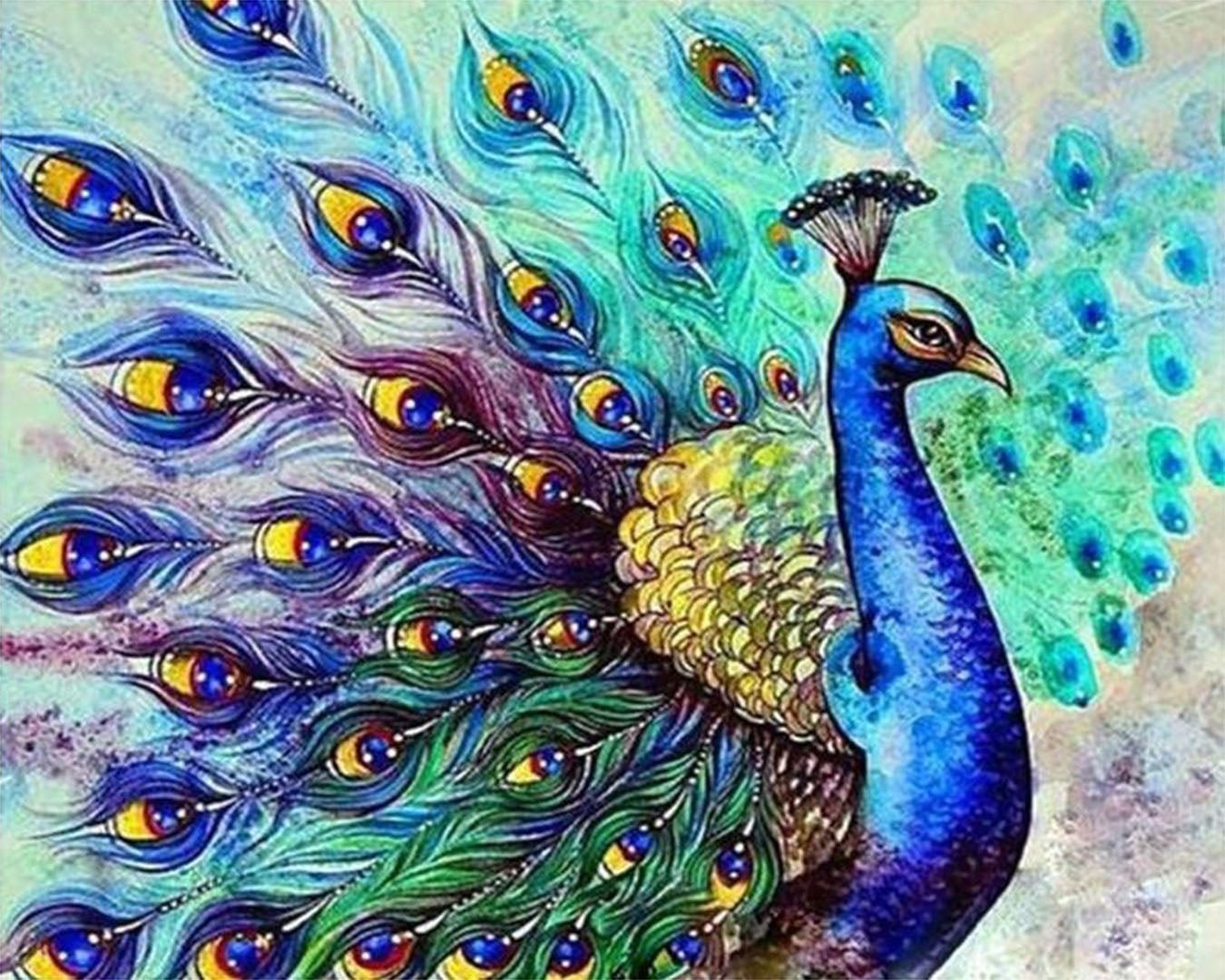 Colorful Peacock paint by numbers kit