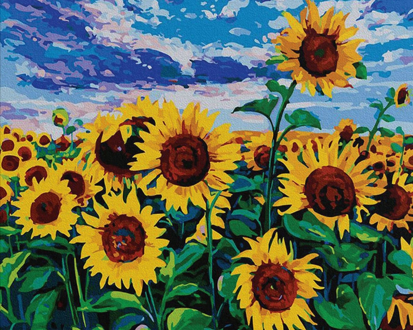 Sunflower field paint by numbers kit