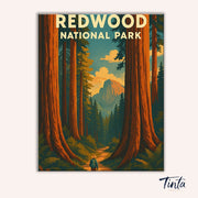 Redwood National Park paint by numbers kit