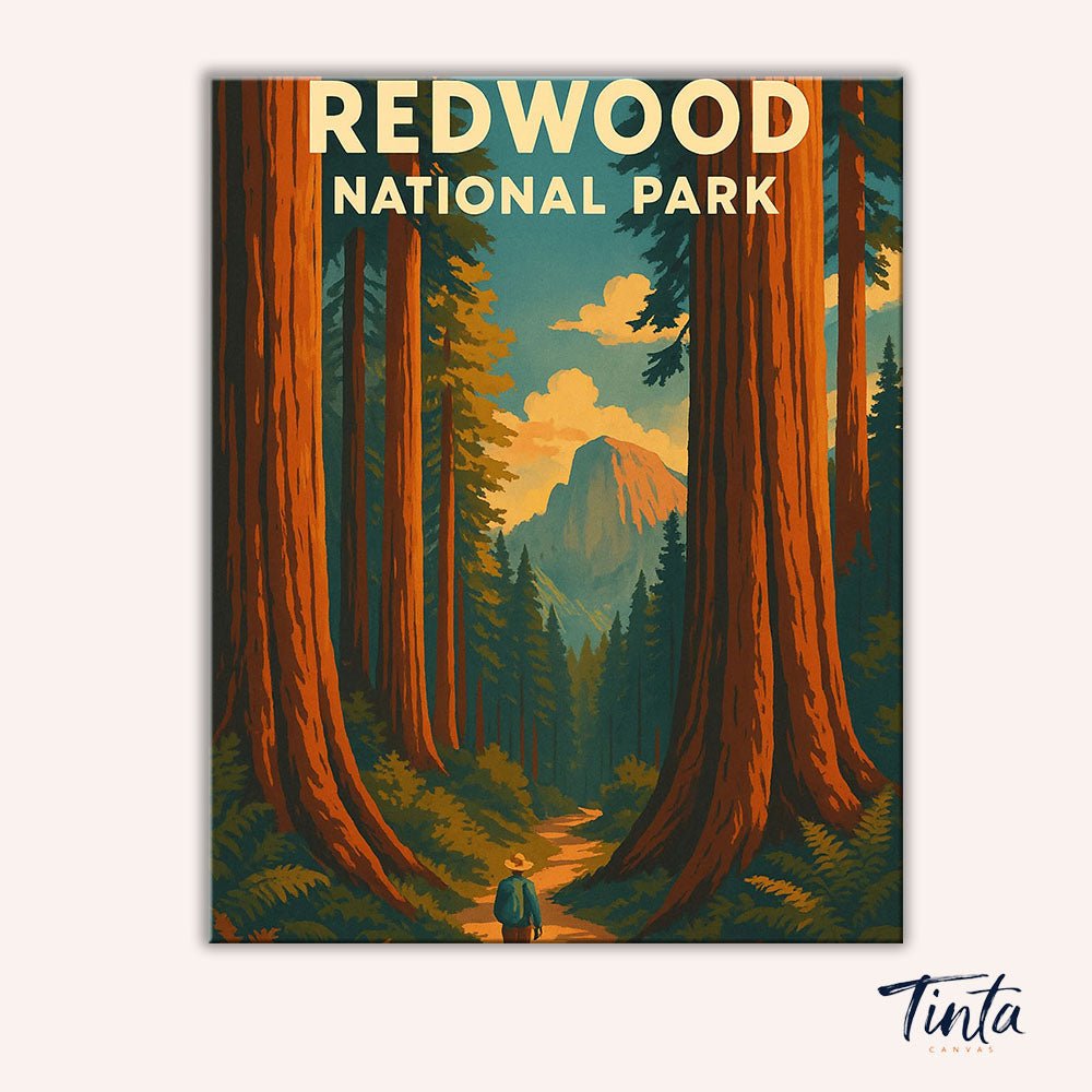 Redwood National Park paint by numbers kit