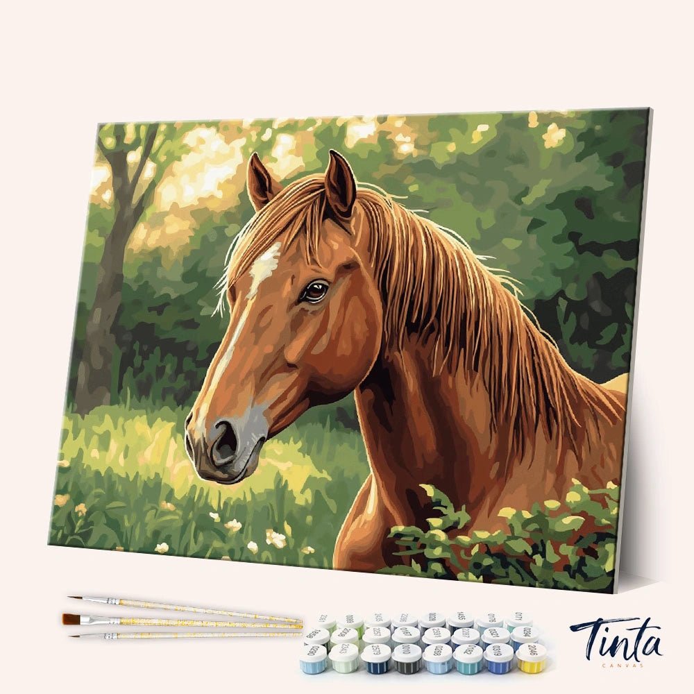 Fierce Stallion paint by numbers kit