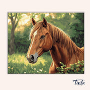 Fierce Stallion paint by numbers kit