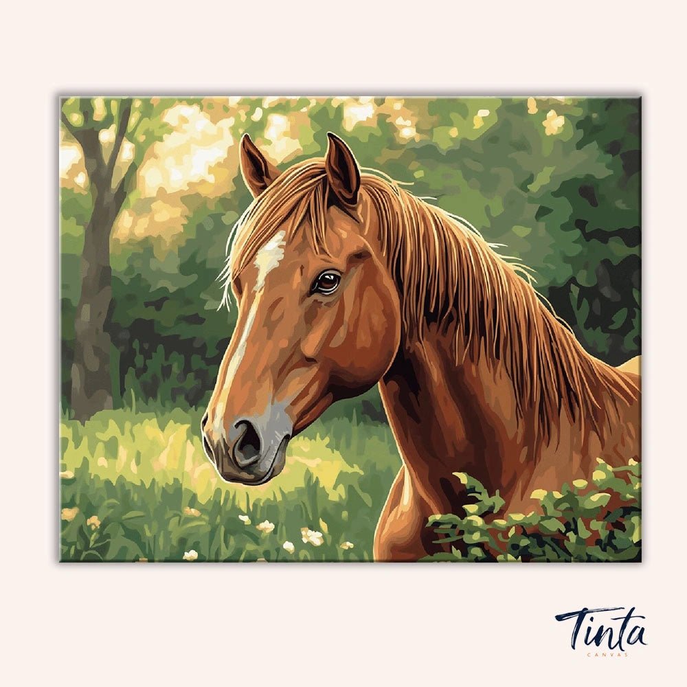 Fierce Stallion paint by numbers kit