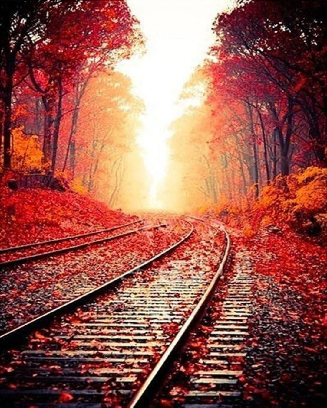 Autumn Railway paint by numbers kit