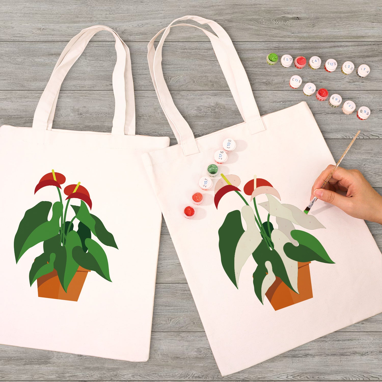 Anthurium Plant Carry Bag paint by numbers kit