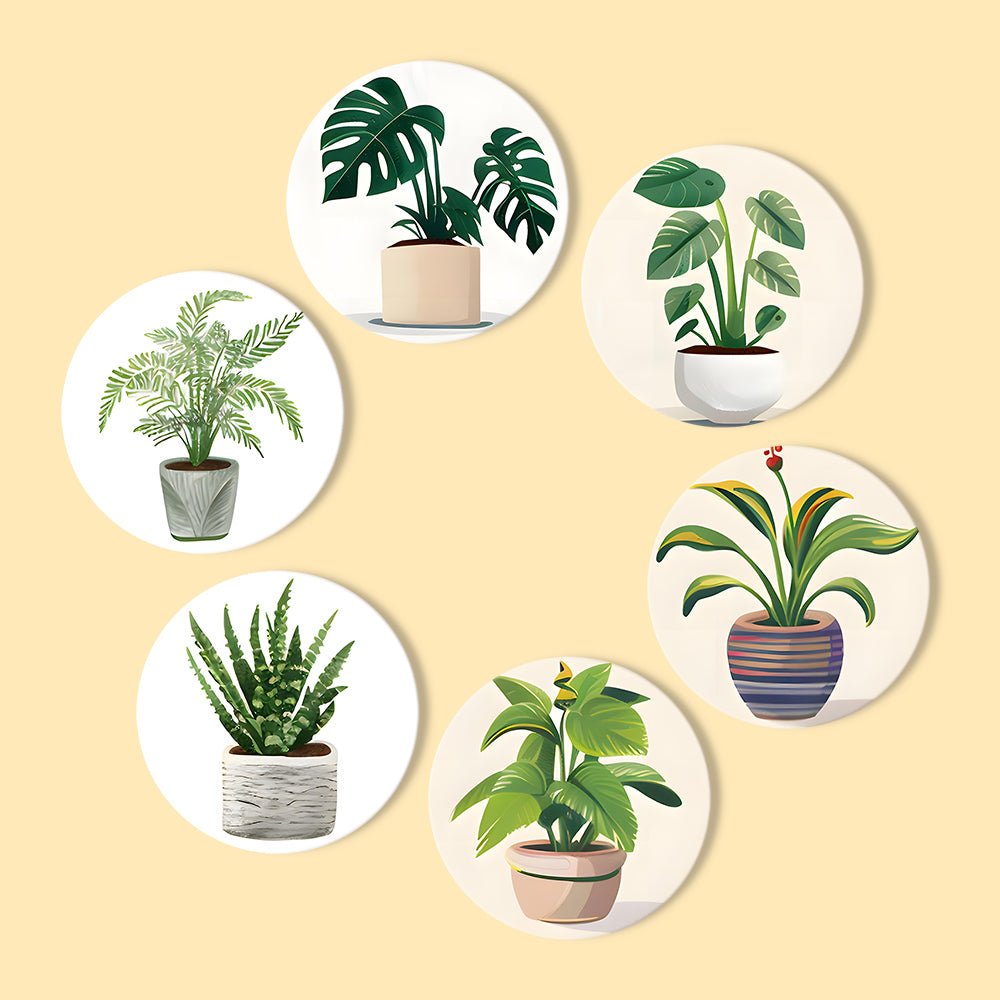 Indoor Green Plants - Coasters Paint by Numbers Kit (6 Pieces) paint by numbers kit