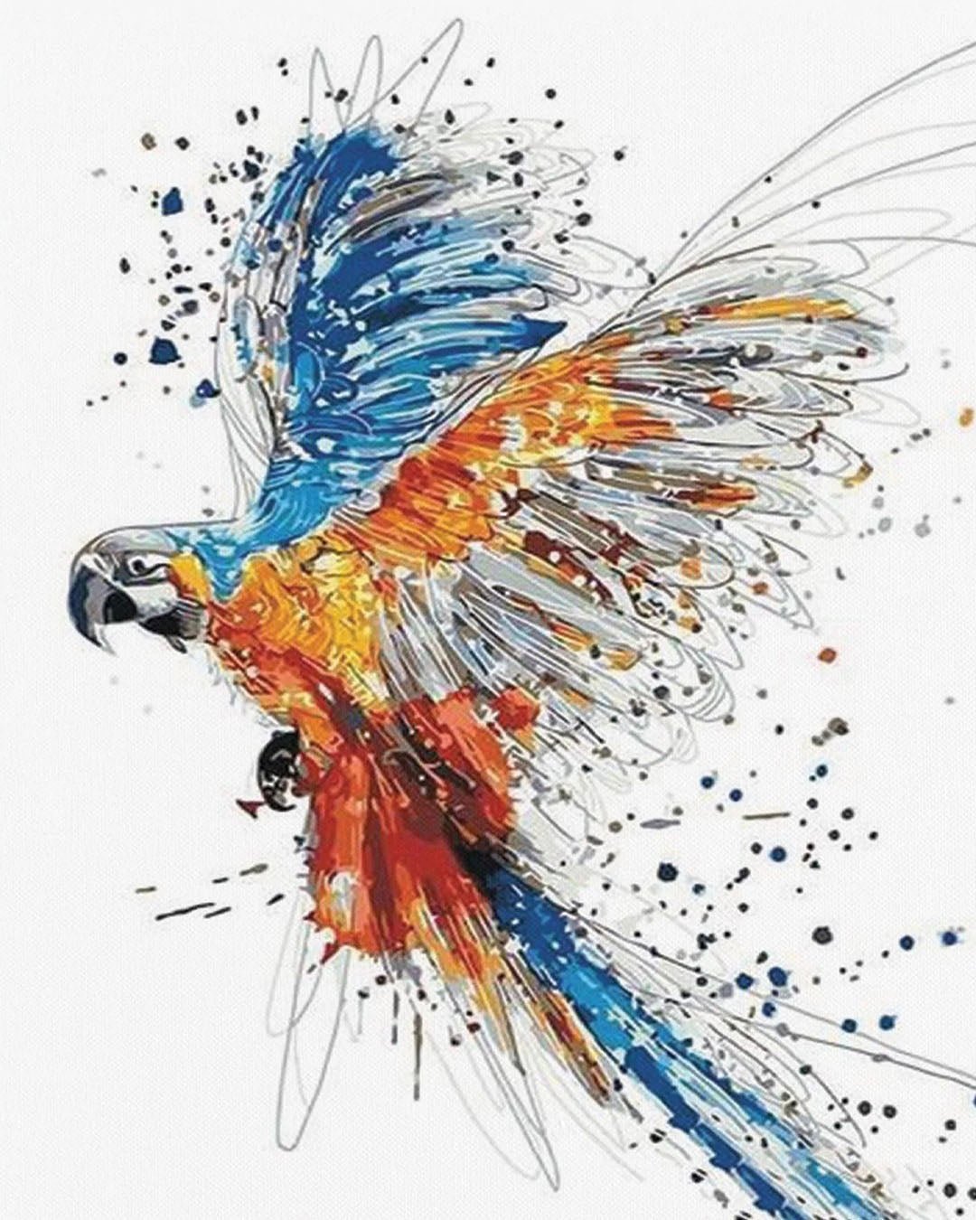 Parrot in Full Flight paint by numbers kit