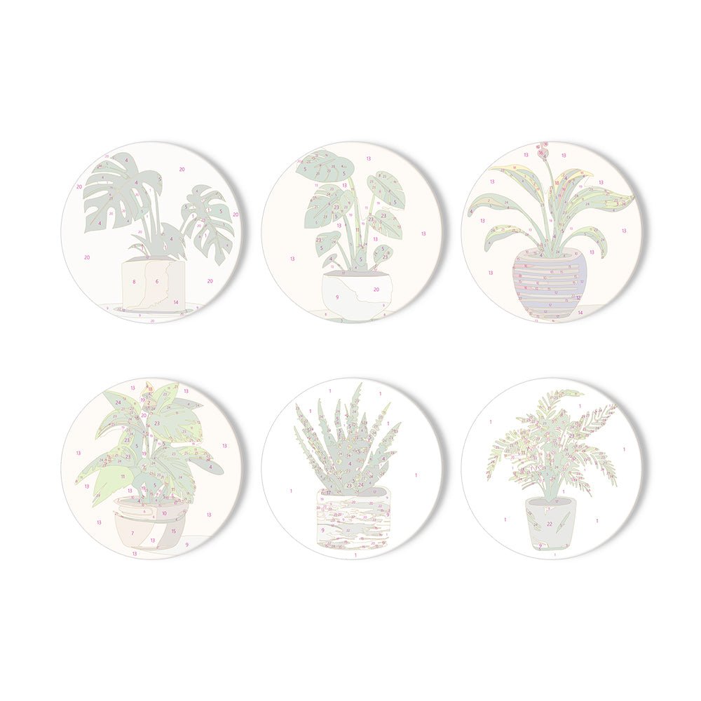 Indoor Green Plants - Coasters Paint by Numbers Kit (6 Pieces) paint by numbers kit