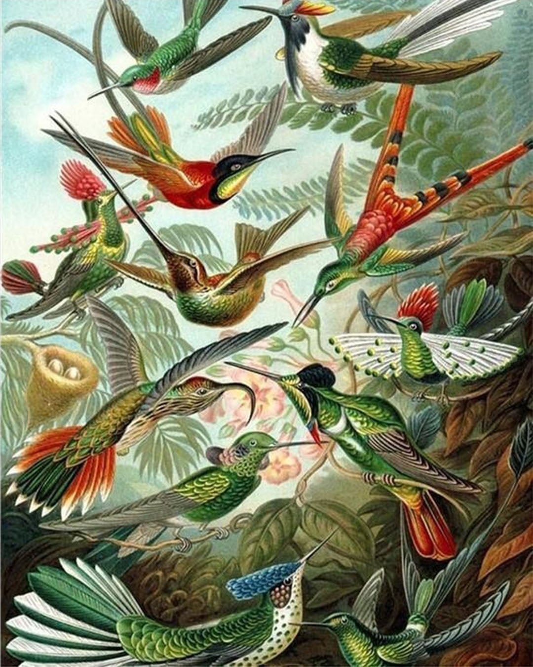 Hummingbirds paint by numbers kit
