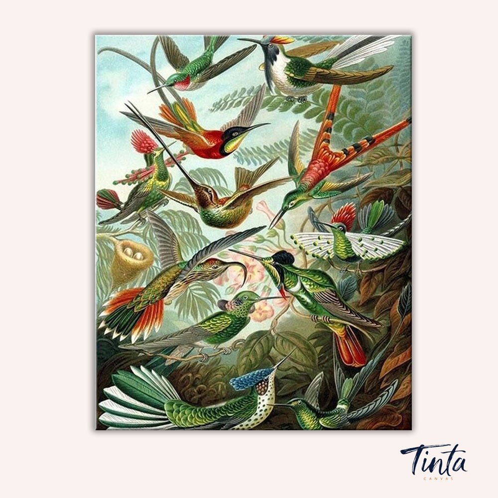 Hummingbirds paint by numbers kit