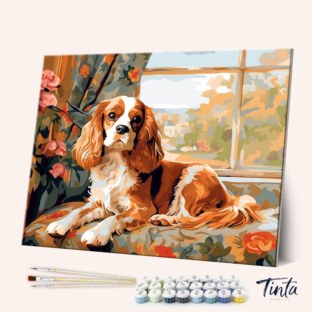Cavalier King Charles Spaniel. paint by numbers kit