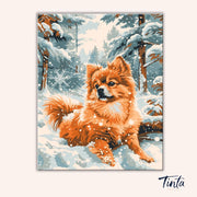 German Spitz paint by numbers kit