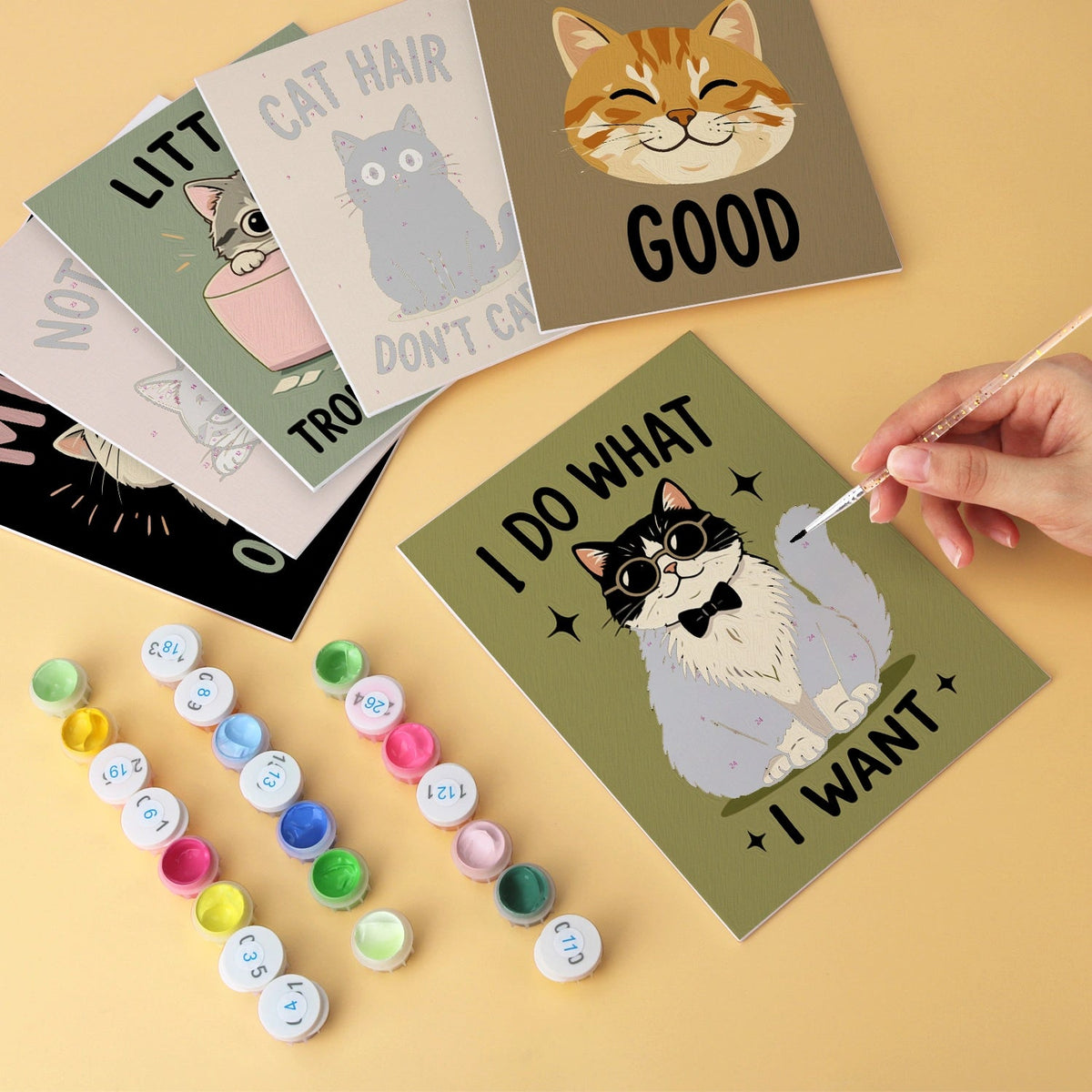 Sassy Cats - Mini Paint by Numbers (6 Pieces) paint by numbers kit