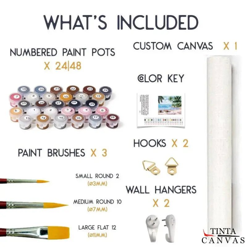 What is included in a paint by numbers kit, showing numbered paint pots, brushes, rolled canvas, color key, and hanging accessories
