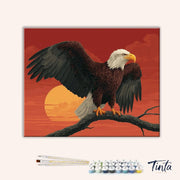 Clean artwork of Wings of Freedom paint by numbers kit featuring bald eagle and glowing sunset background